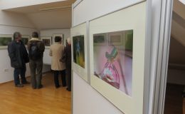 IMG_2037
