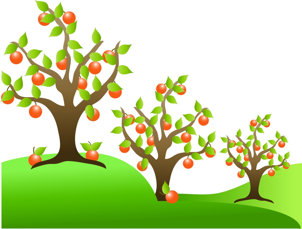 orange tree clipart - Dogodki