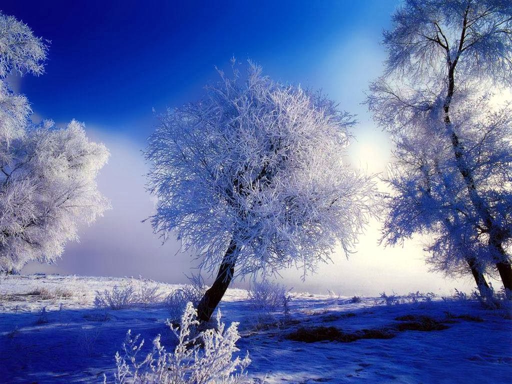 wallpaper desktop nature winter - Dogodki