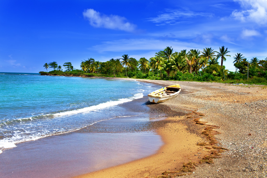 plaz 637 jamajka2 - Dogodki