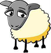 ovca - Dogodki