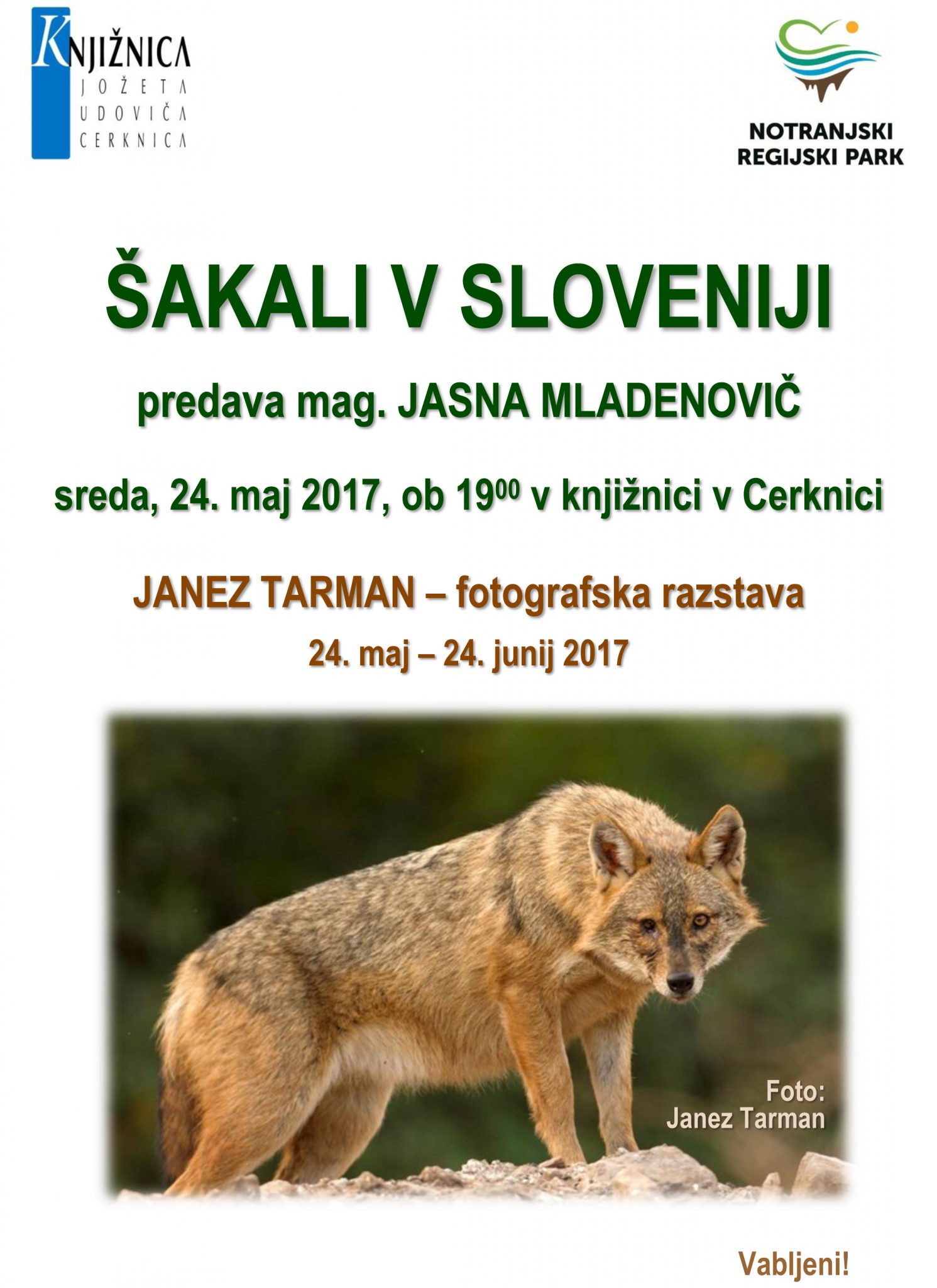 vabilo - Jasna Mladenovič: Šakali v Sloveniji