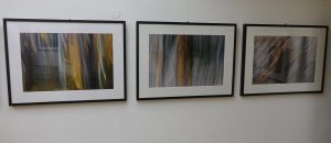 DSC08822 300x130 - Andreja Peklaj: Domovanje skrivnosti - odprtje fotografske razstave