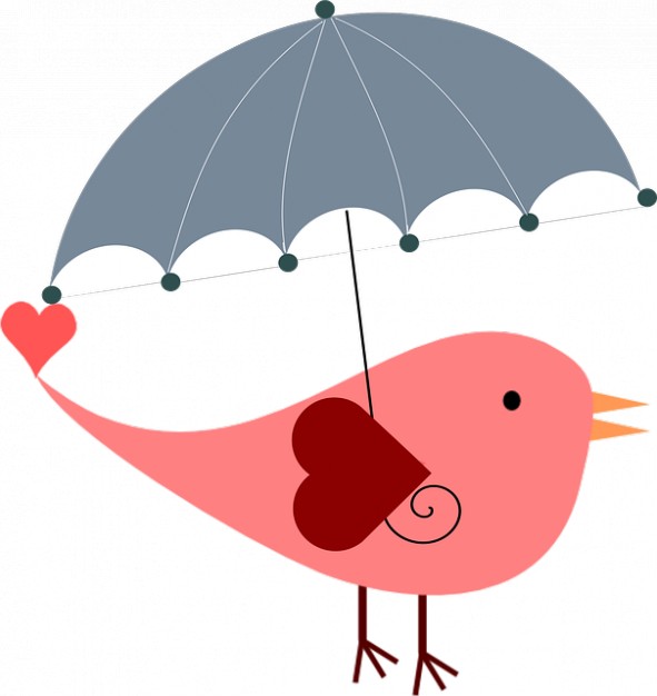 bird umbrella protection summer spring easter 121 48863 - Dogodki