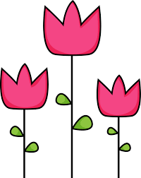 tulipani - Dogodki