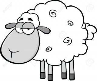 ovca - Dogodki