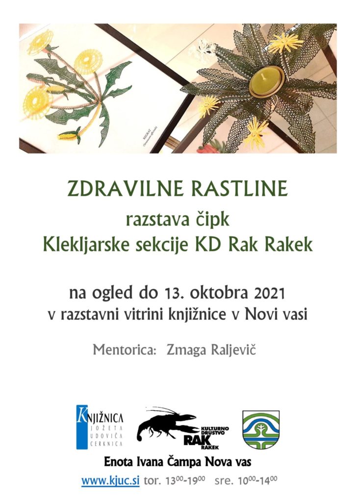 zelisca cipke Nova vas page 001 724x1024 - Zdravilne rastline - razstava čipk Klekljarske sekcije KD Rak Rakek