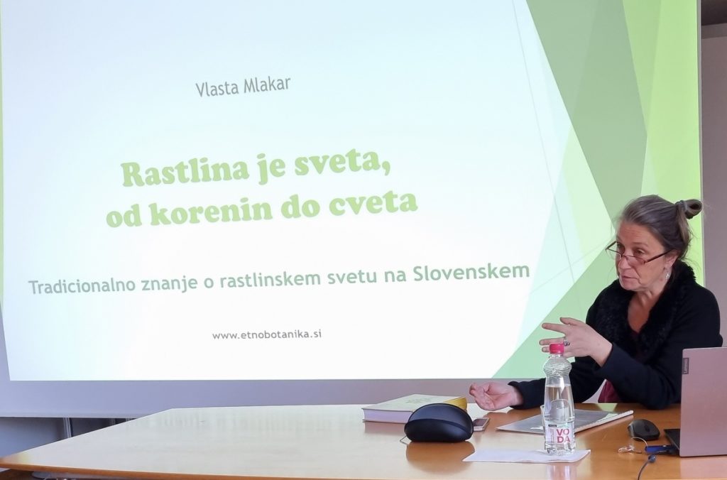 20220420 1804361 001 1024x676 - Rastlina je sveta, od korenin do cveta