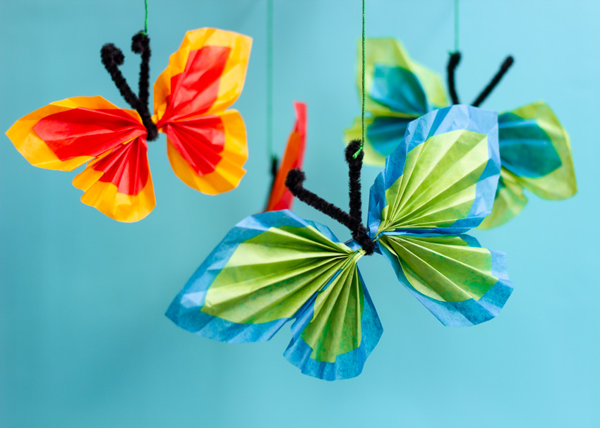 Pipe Cleaner Tissue Butterfly 1 - Dogodki