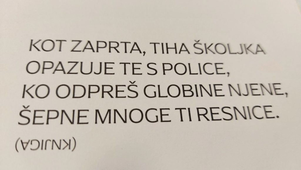 anita 3 1024x577 - Nove uganke Anite Leskovec: Križ kraž ugankarski kolaž