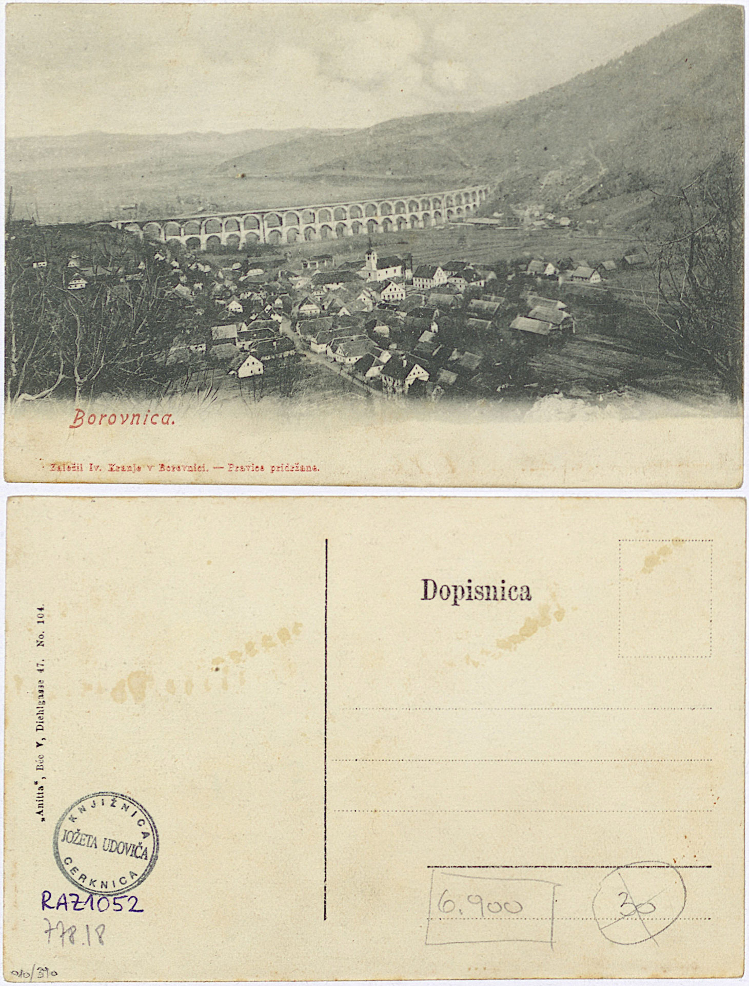 Borovnica 1910 0000 6241976 1052 - Borovnica
