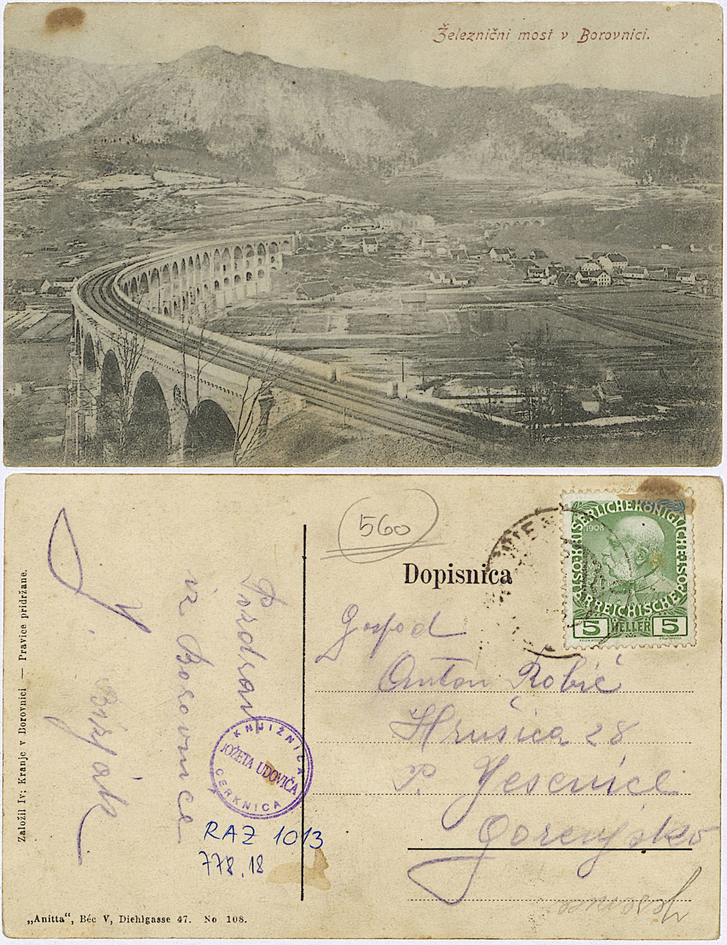 Borovnica 1912 0000 6236344 1013 - Borovnica