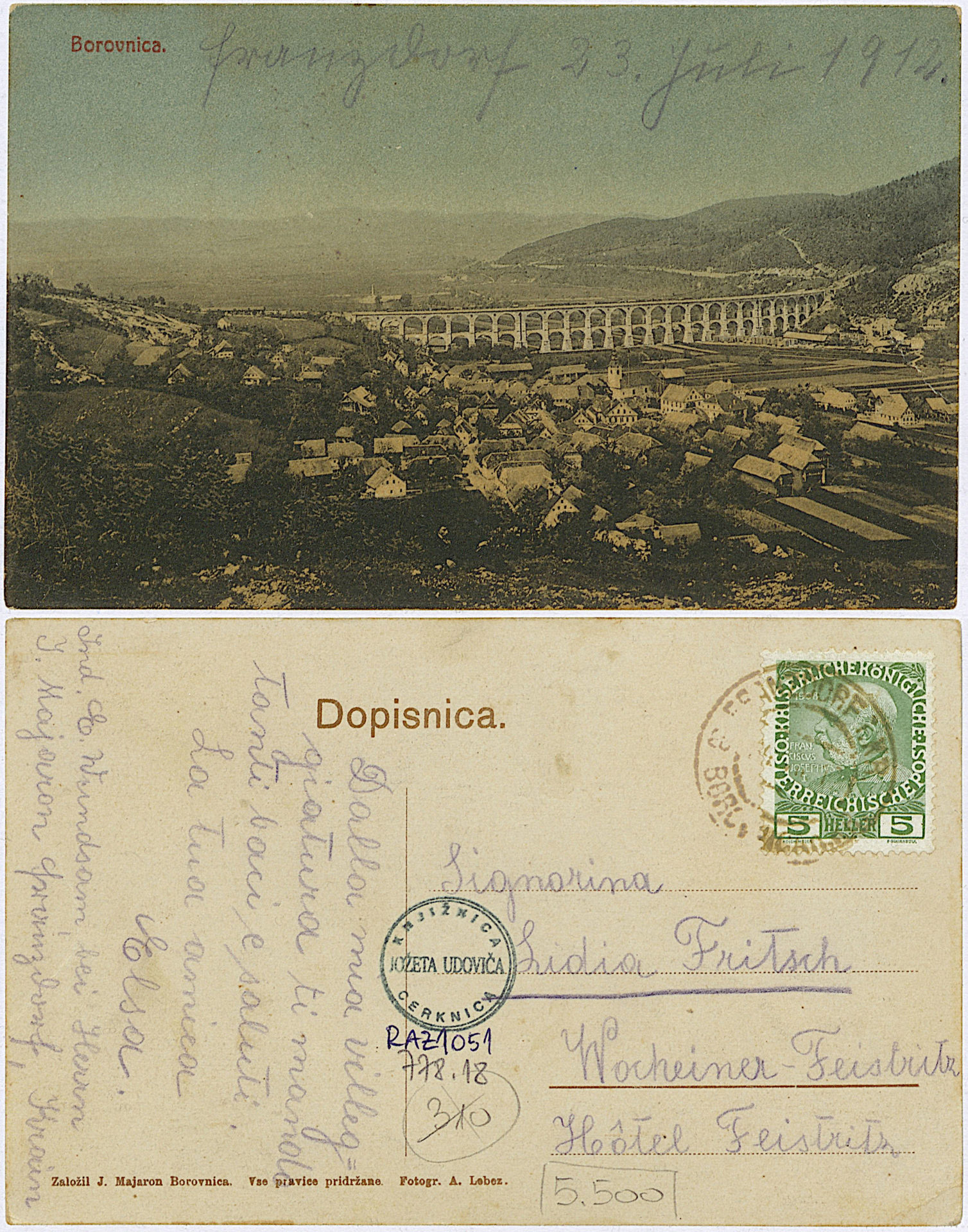 Borovnica 1912 0723 6241720 1051 - Borovnica