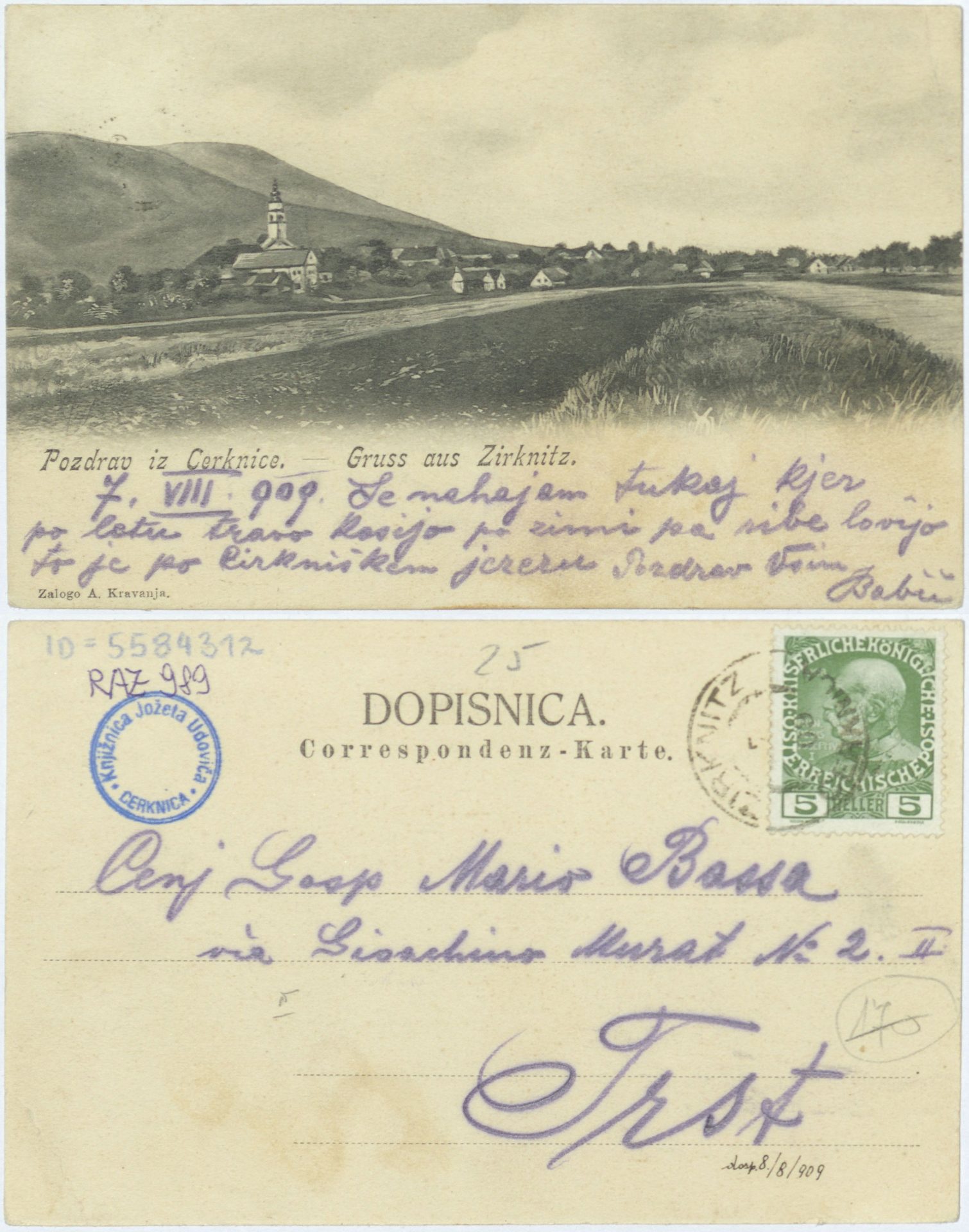 Cerknica 1909 0807 5584312 0989 - Cerknica