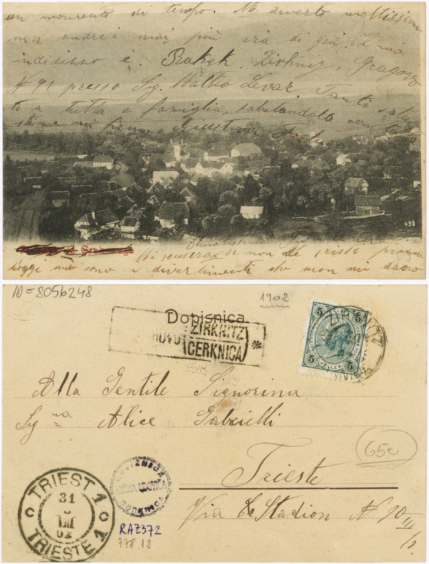 Grahovo 1902 0330 8056248 0372 - Grahovo