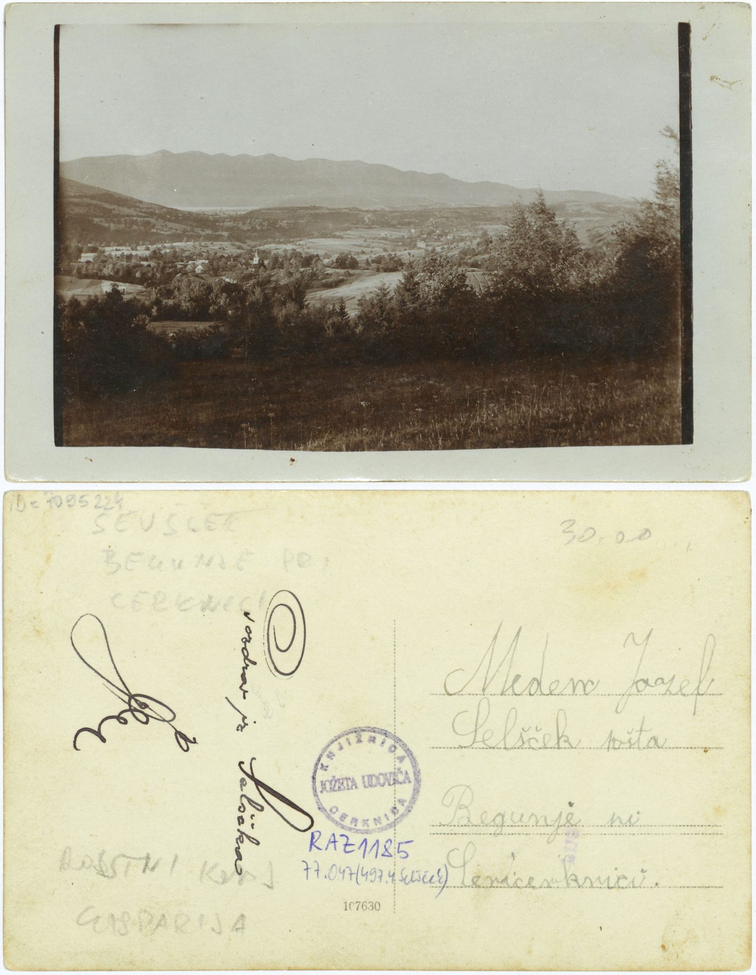 Selscek 1915 0000 7095224 1185 - Selšček