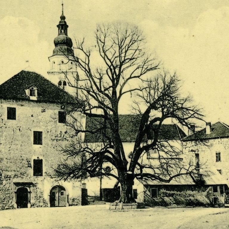 Vabljeni v Domoznansko skupino Knjižnice Jožeta Udoviča Cerknica