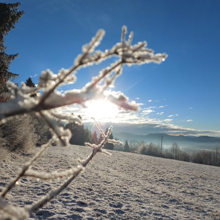 December 2023 – zbirnik prireditev, razstav