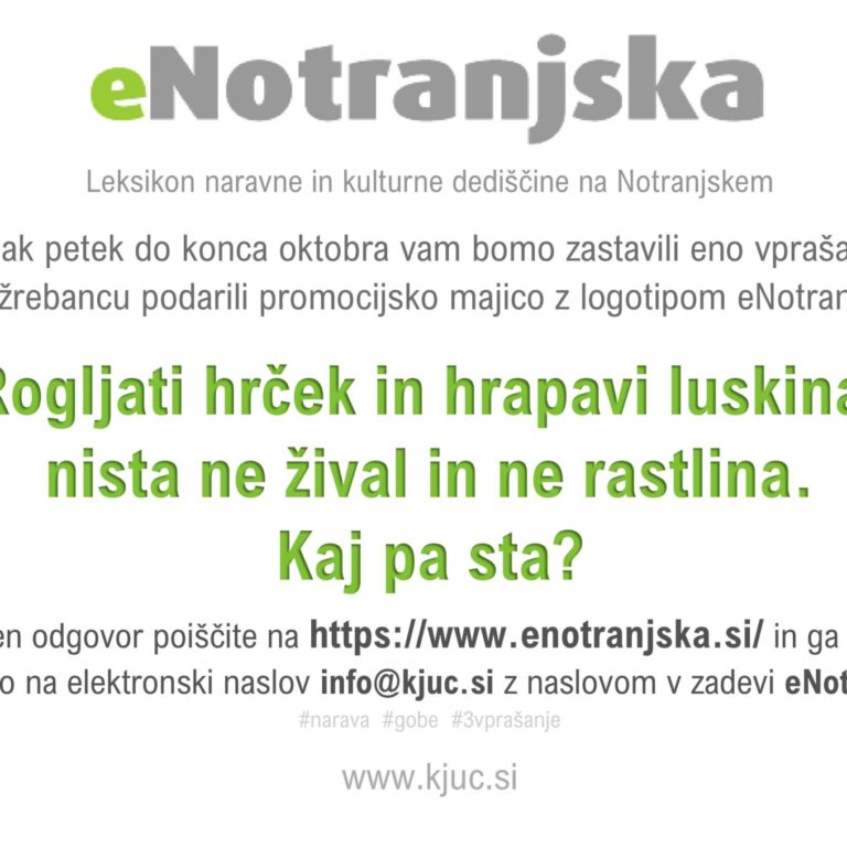 Nagradna igra eNotranjska – 3. vprašanje