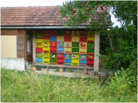 Čebelarstvo na Rakeku