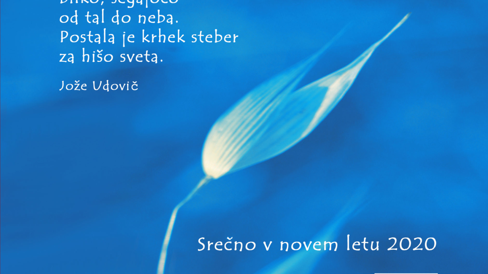 C12