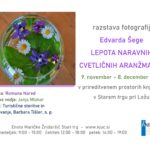 Edvard Šega: Lepota naravnih cvetličnih aranžmajev - razstava fotografij