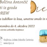 Erika Bolčina Antončič: Unikati iz gozda - DREW - razstava izdelkov iz lesa, umetne smole in roževine