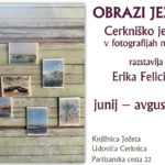 Erika Felicijan: Obrazi jezera - Cerkniško jezero v fotografijah na lesu
