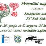 Praznični nageljni - razstava Klekljarske sekcije KD Rak Rakek