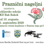 Praznični nageljni - razstava Klekljarske sekcije KD Rak Rakek