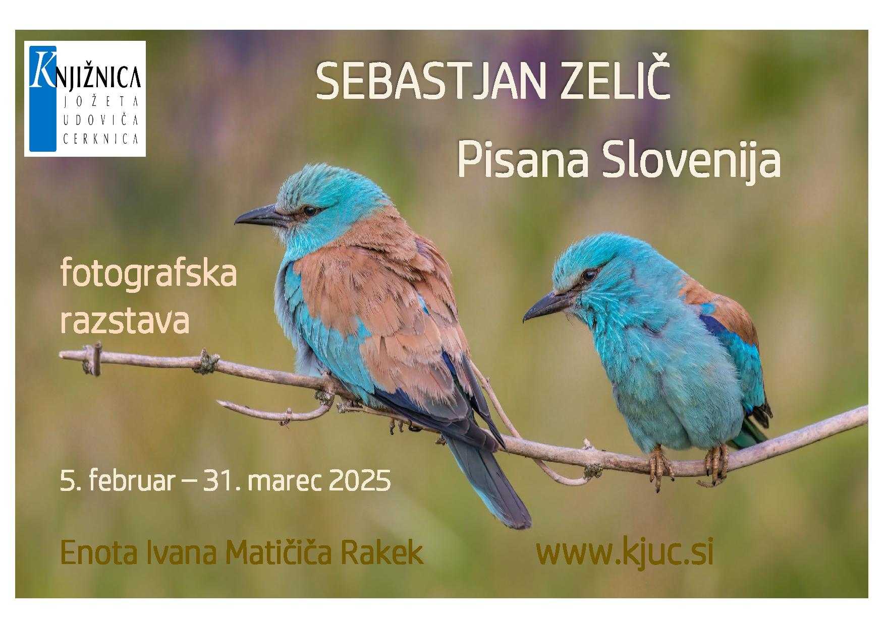 Sebastjan Zelič - Pisana Slovenija
