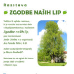 Zgodbe naših lip - razstava del študijskega krožka