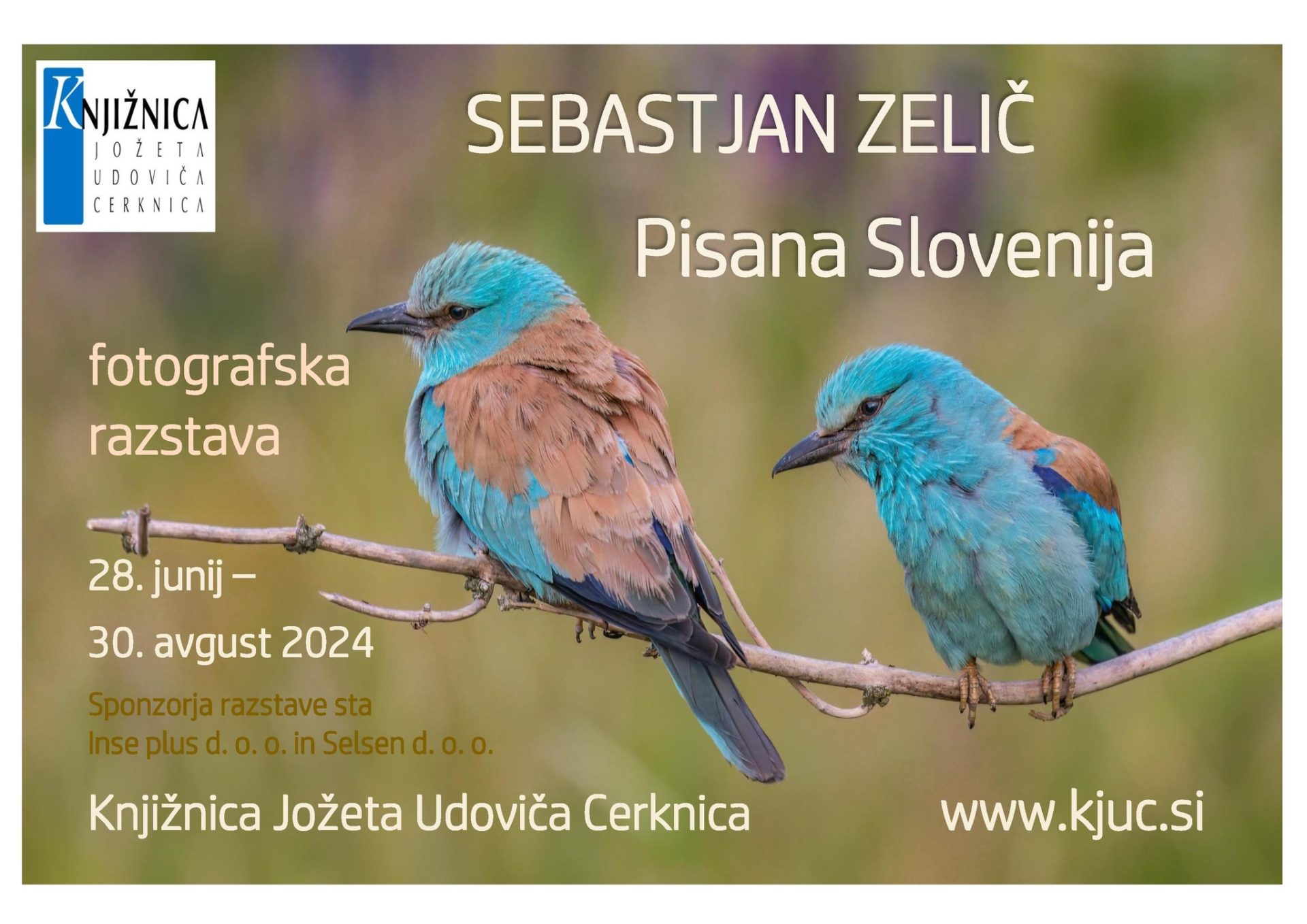 Sebastjan Zelič: Pisana Slovenija