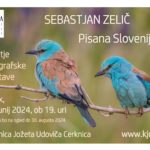 Sebastjan Zelič: Pisana Slovenija - odprtje fotografske razstave