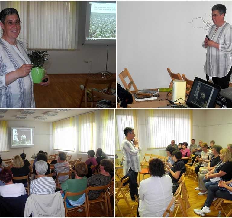 Čebela, žlahtna spremljevalka slovenske kulture