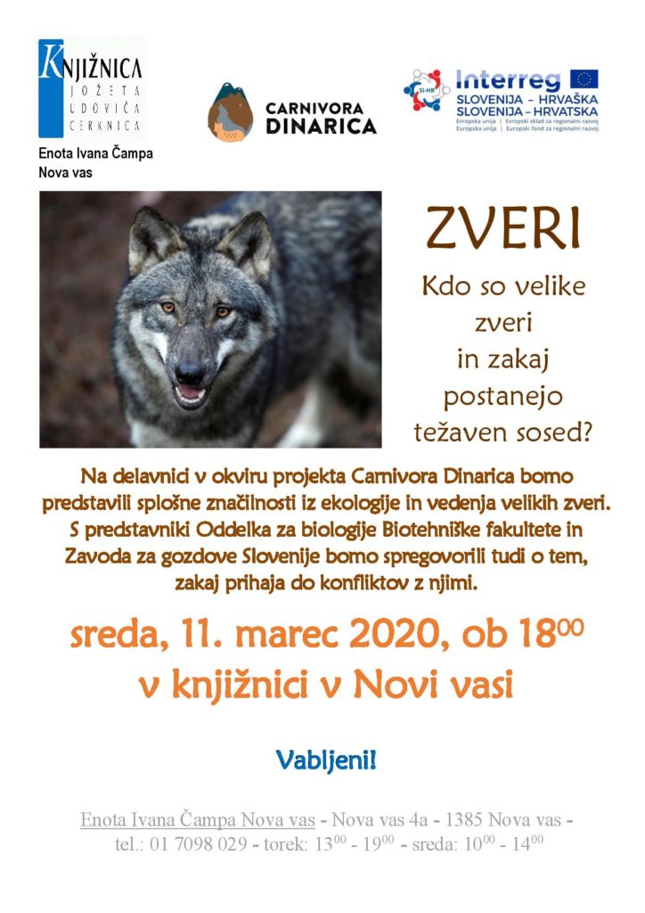 ODPOVEDANO – Zveri - kdo so velike zveri in zakaj postanejo težaven sosed?