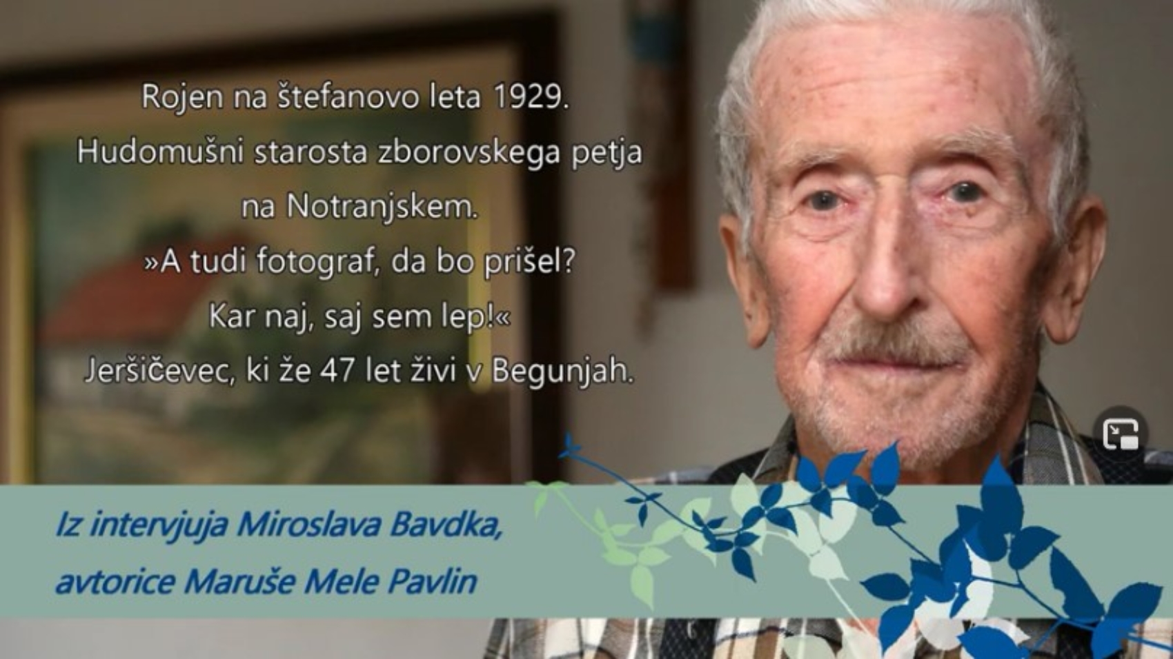 bavdek
