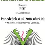 Knjiga ne grize: Nejc Zaplotnik - Pot