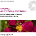 Razstava ob svetovnem dnevu čebel
