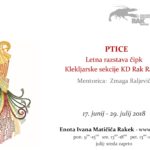 Ptice - letna razstava čipk Klekljarske sekcije KD Rak Rakek