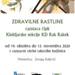 Zdravilne rastline: razstava čipk Klekljarske sekcije KD Rak Rakek