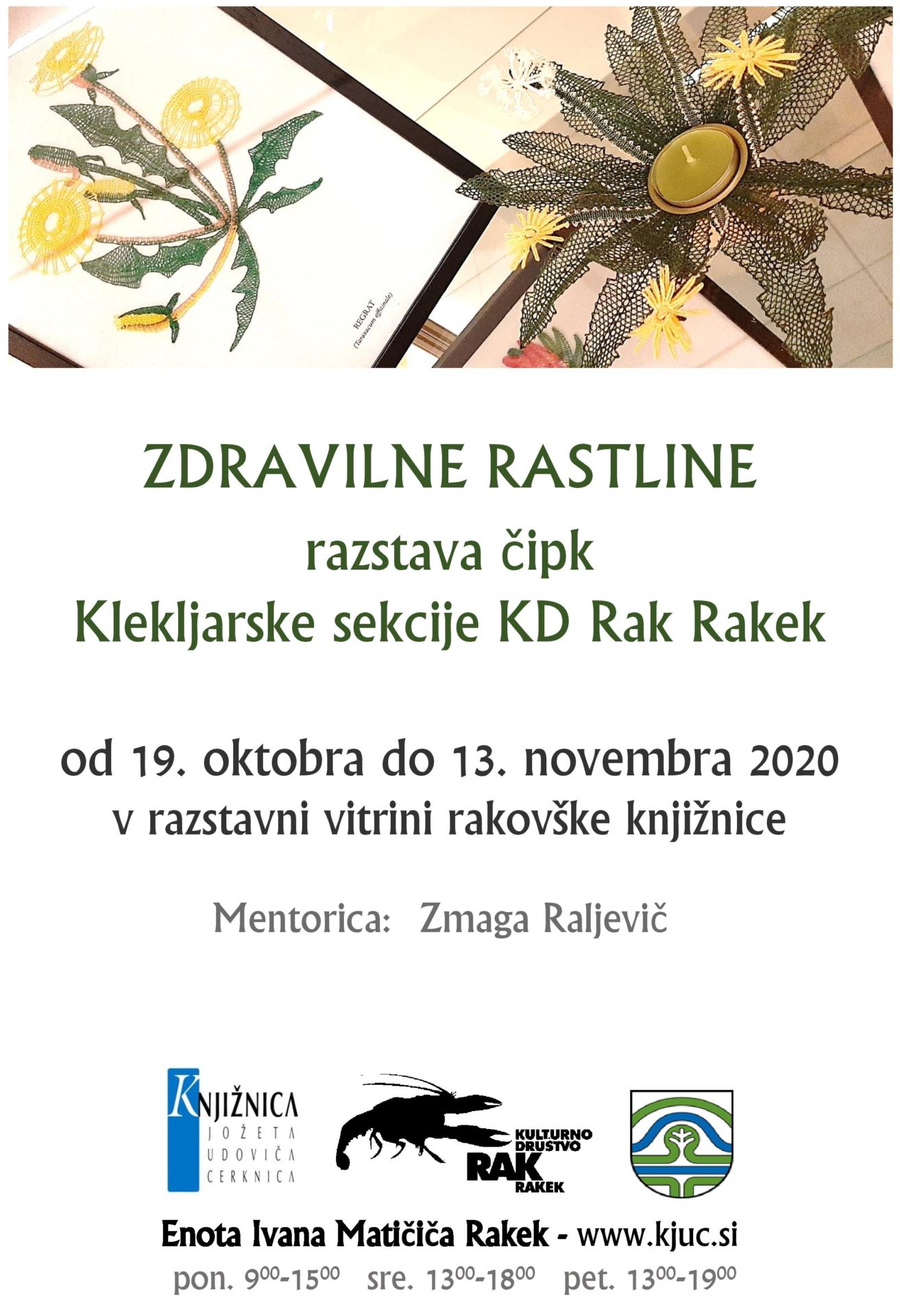 Zdravilne rastline: razstava čipk Klekljarske sekcije KD Rak Rakek