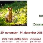 Zoran Vidrih - fotografska razstava