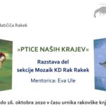 Ptice naših krajev – razstava sekcije Mozaik KD Rak Rakek