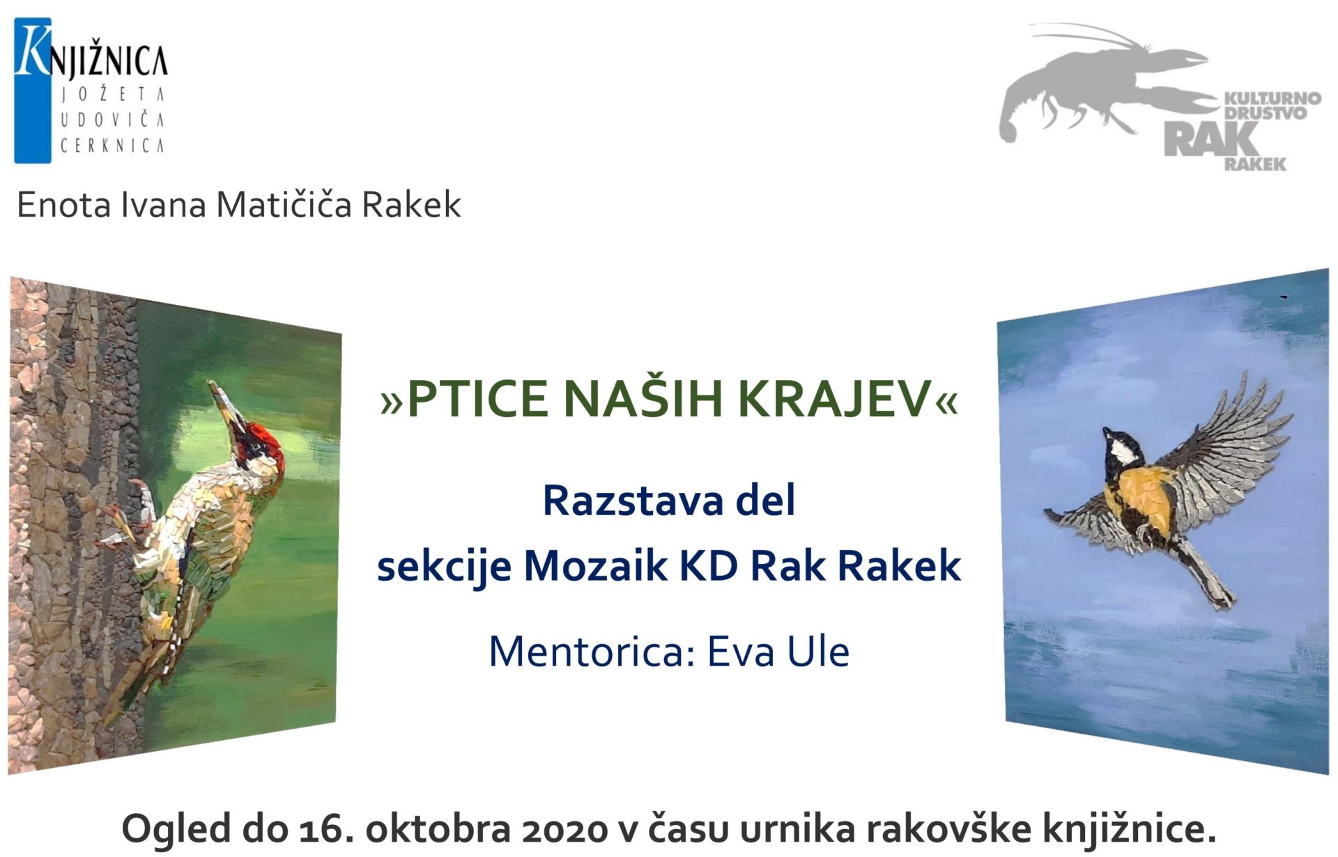 Ptice naših krajev – razstava sekcije Mozaik KD Rak Rakek