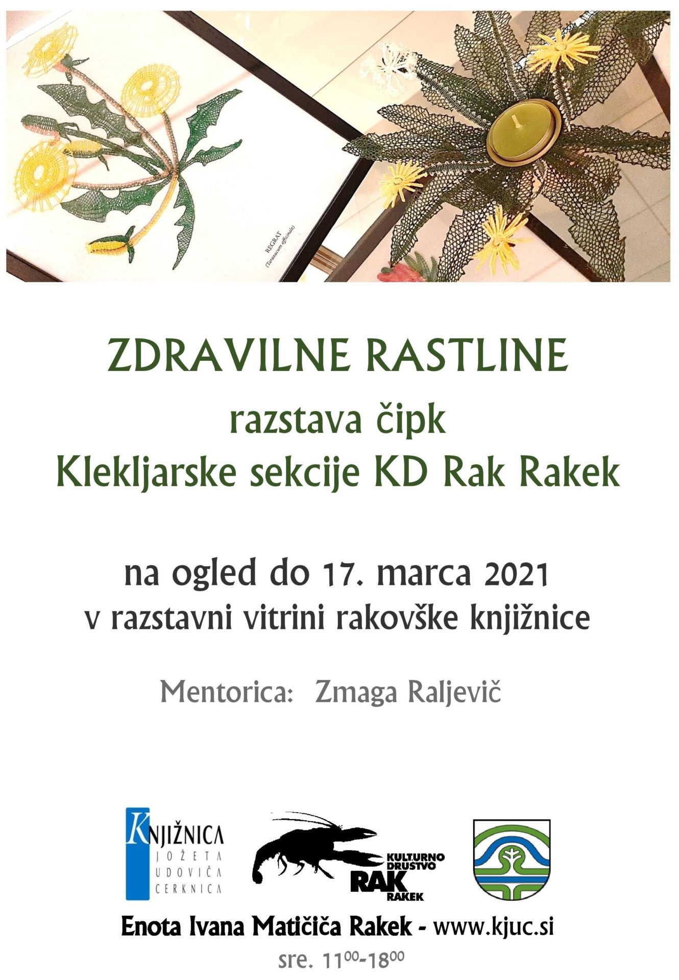 Zdravilne rastline: razstava čipk Klekljarske sekcije KD Rak Rakek