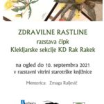 Zdravilne rastline - razstava čipk Klekljarske sekcije KD Rak Rakek
