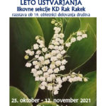Leto ustvarjanja likovne sekcije KD Rak Rakek - razstava ob 19. obletnici delovanja društva