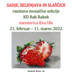 Sadje, zelenjava, slaščice - razstava mozaične sekcije KD Rak Rakek