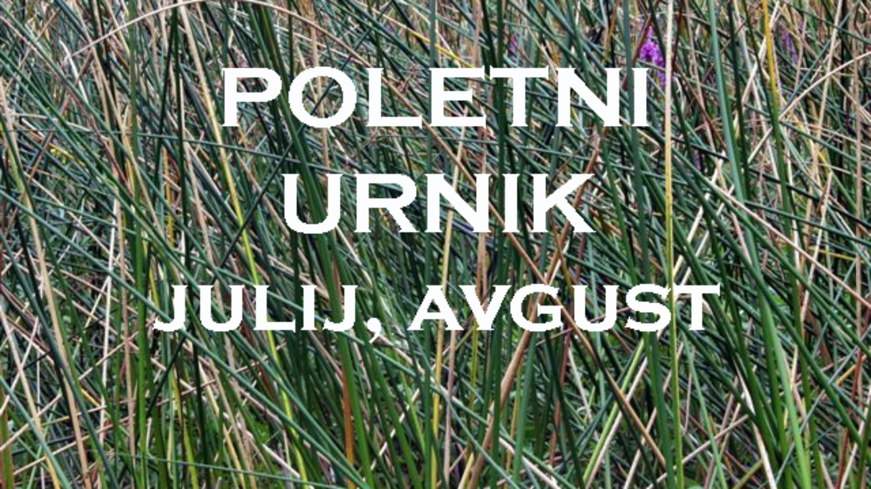 poletni-urnik-2020-slika-www